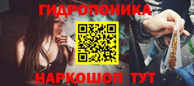 гашик Бузулук