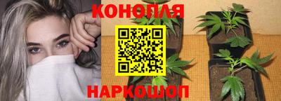 дмт Будённовск