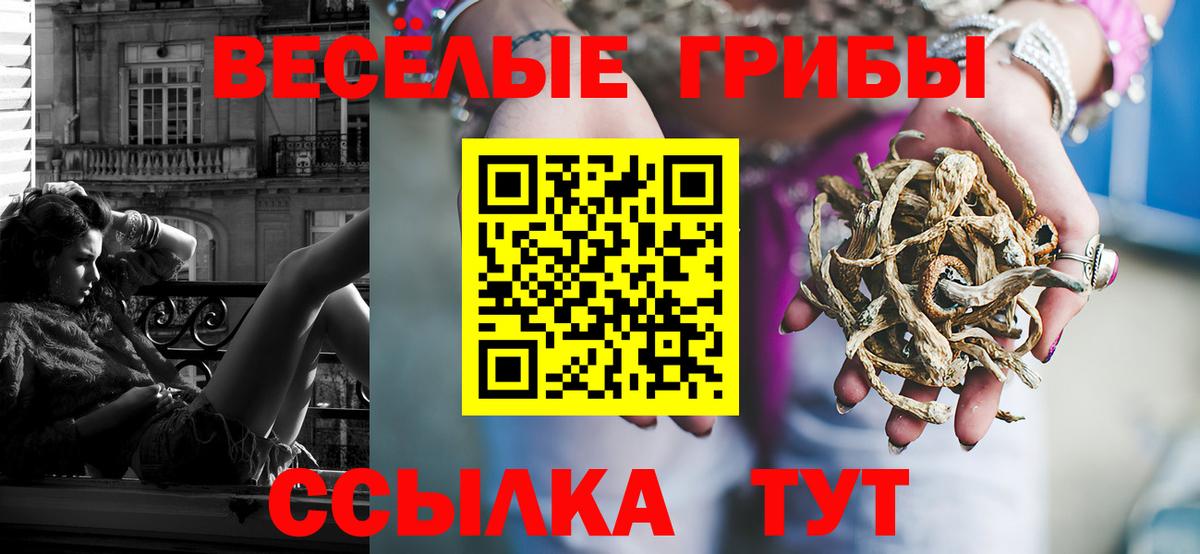 Галлюциногенные грибы GOLDEN TEACHER Томск